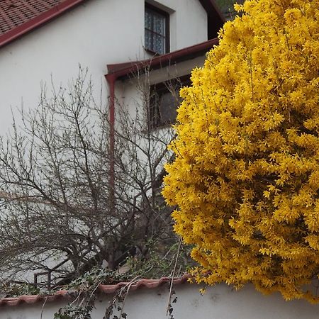 Apartmany U Kocek Tábor Exterior foto