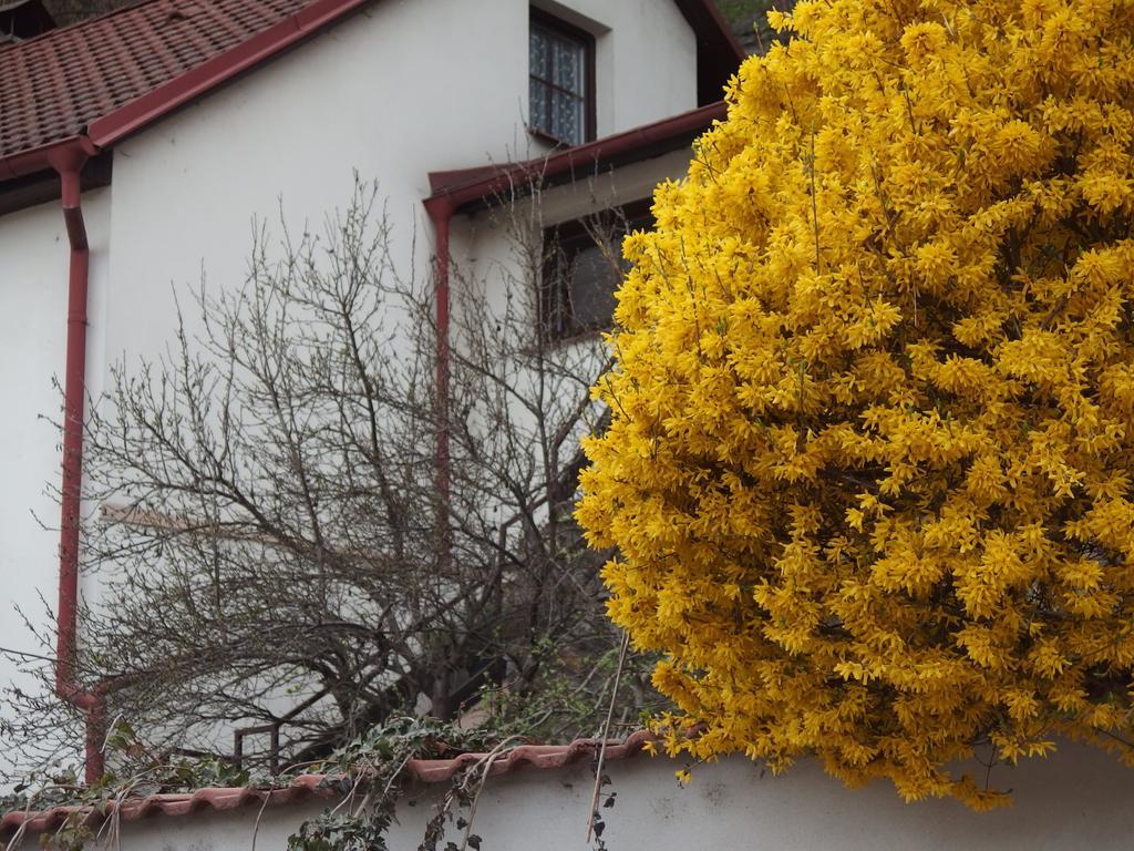 Apartmany U Kocek Tábor Exterior foto